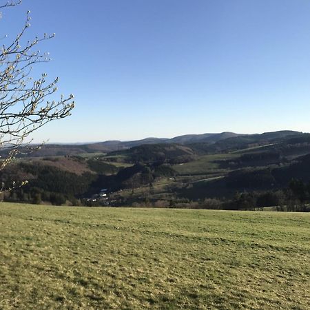 Villa Gluehalm Willingen à Willingen  Extérieur photo