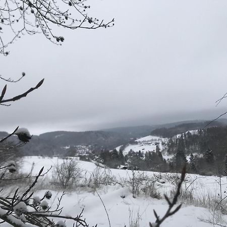 Villa Gluehalm Willingen à Willingen  Extérieur photo