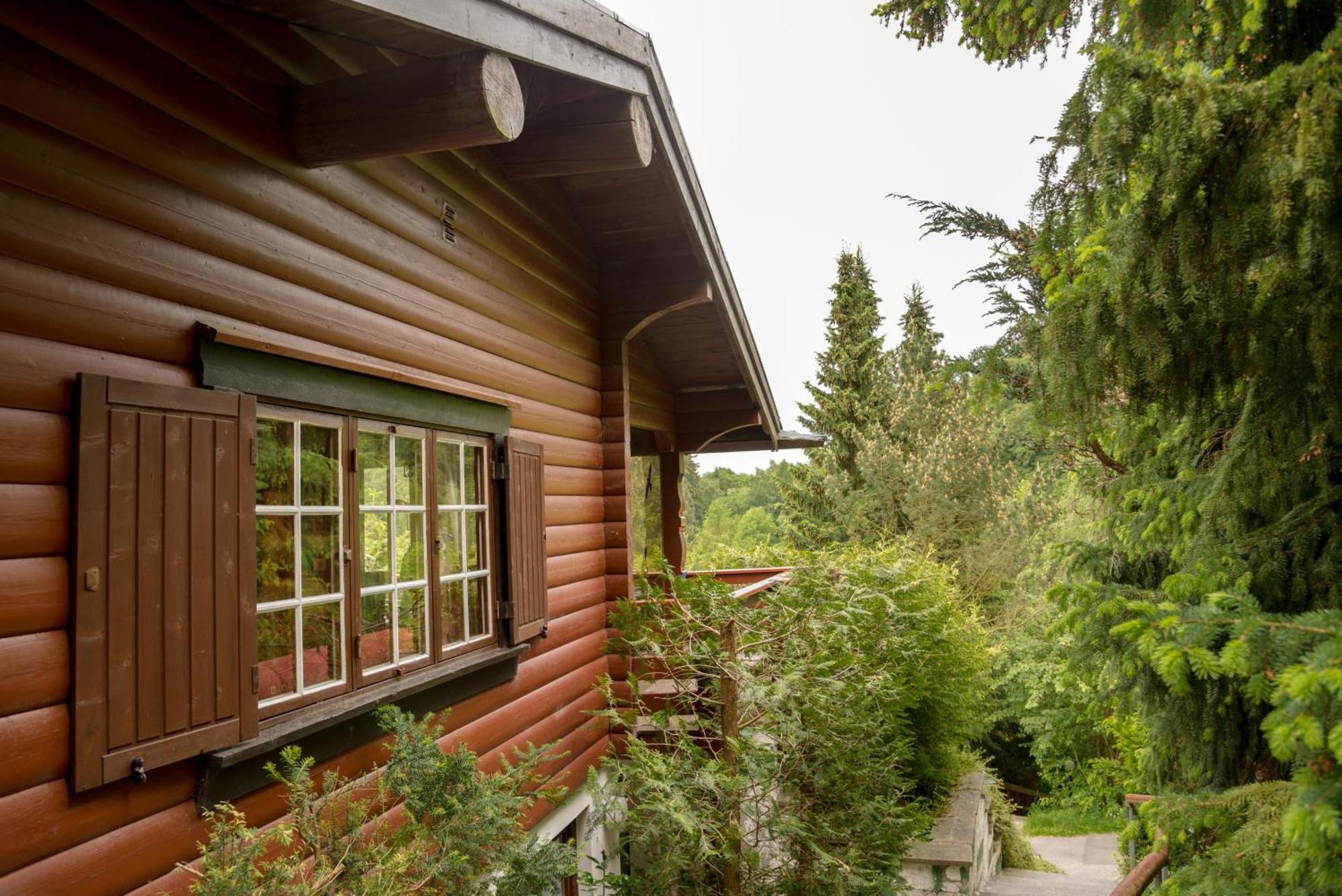 Villa Gluehalm Willingen à Willingen  Extérieur photo