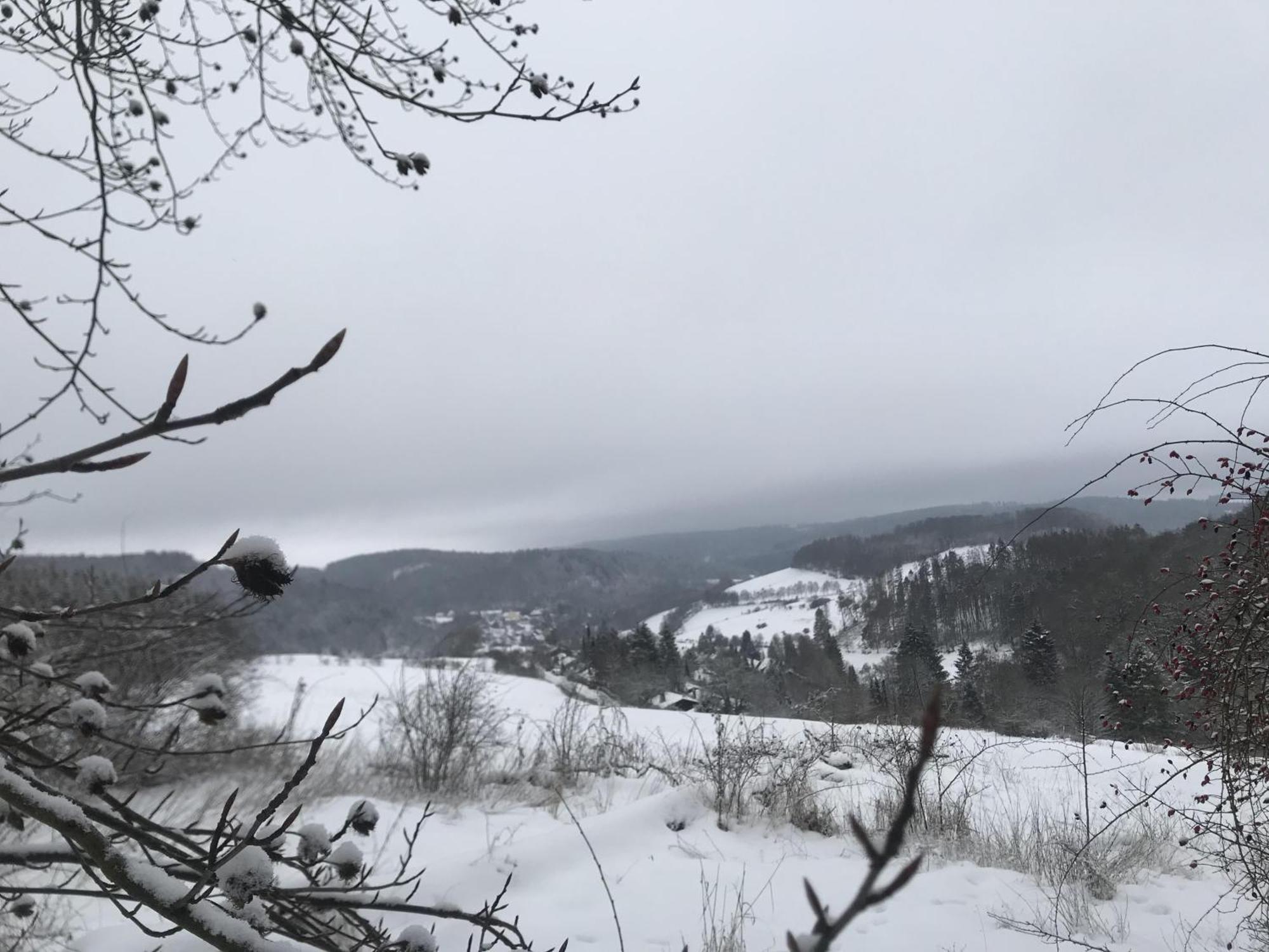 Villa Gluehalm Willingen à Willingen  Extérieur photo