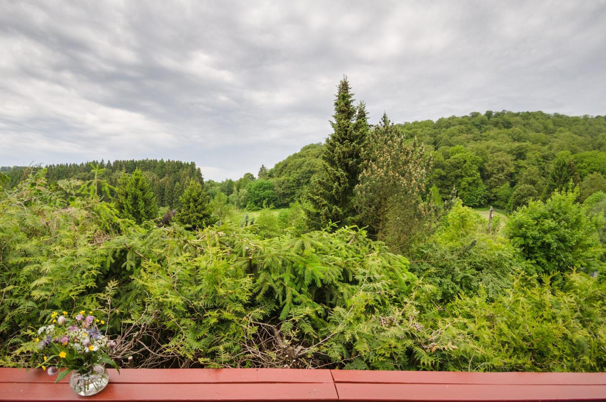 Villa Gluehalm Willingen à Willingen  Extérieur photo